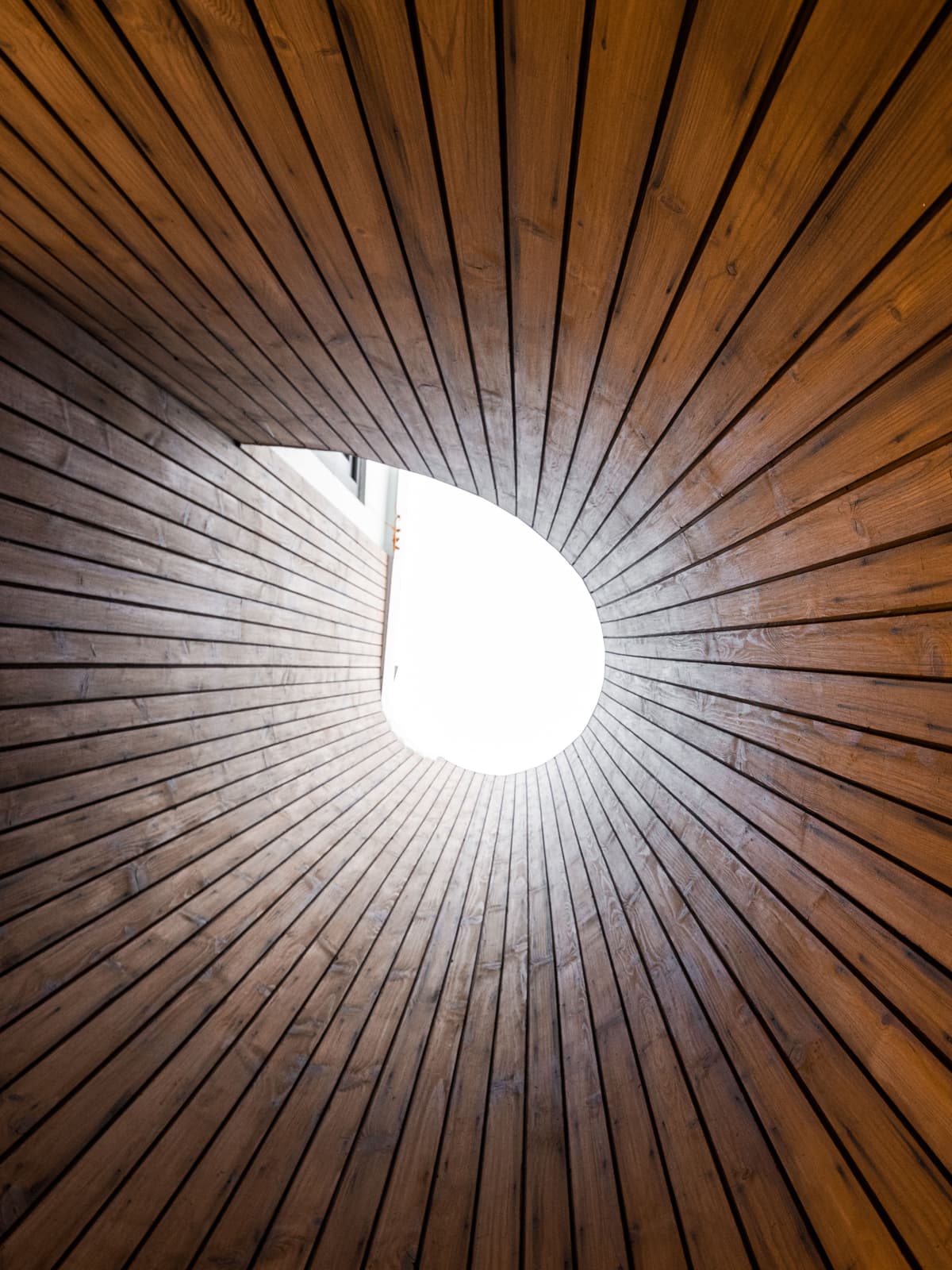 Curved timber cladding enveloping skylight opening, creating organic geometry and warm texture while guiding natural light into the architectural void