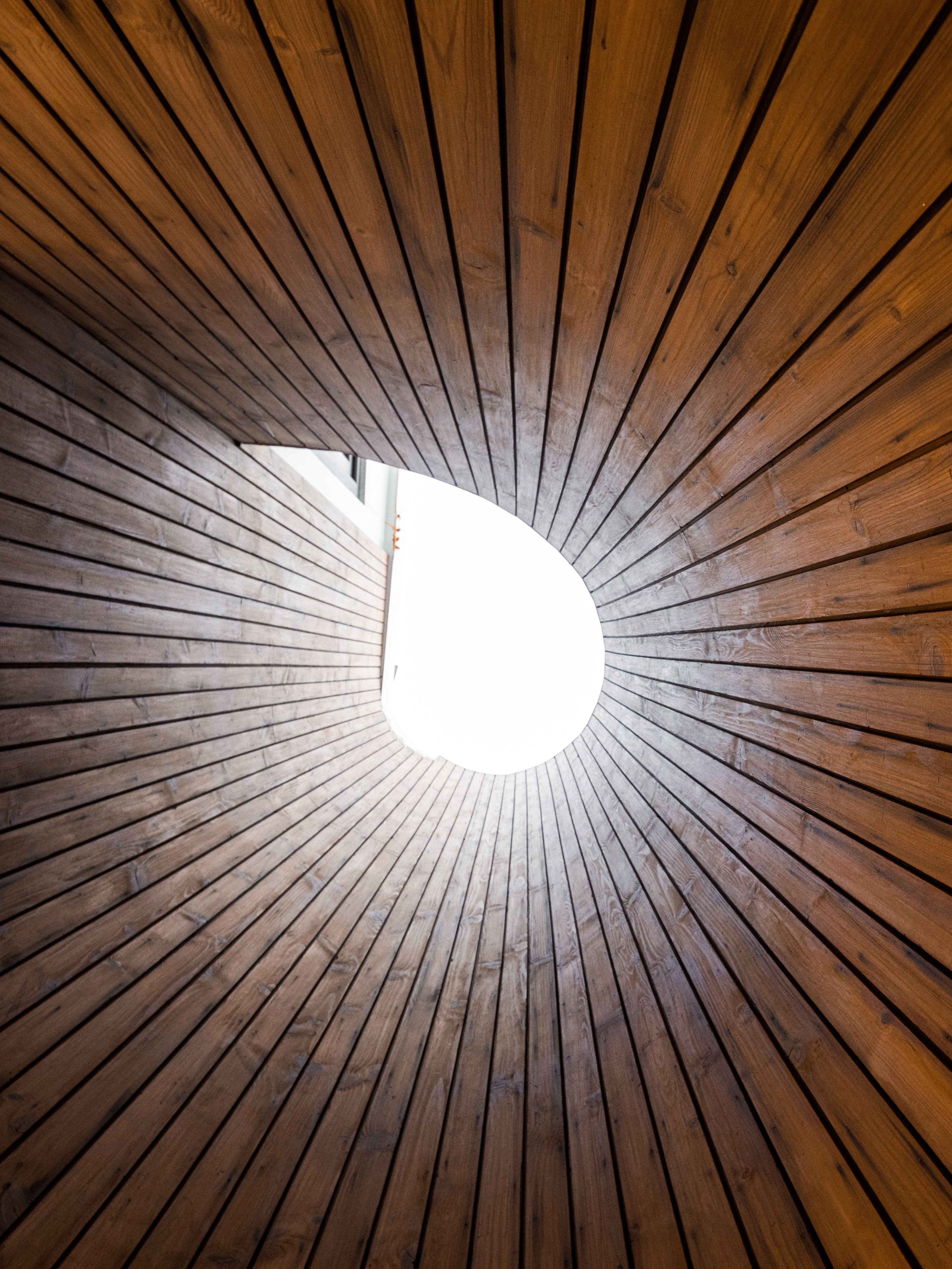 Curved timber cladding enveloping skylight opening, creating organic geometry and warm texture while guiding natural light into the architectural void